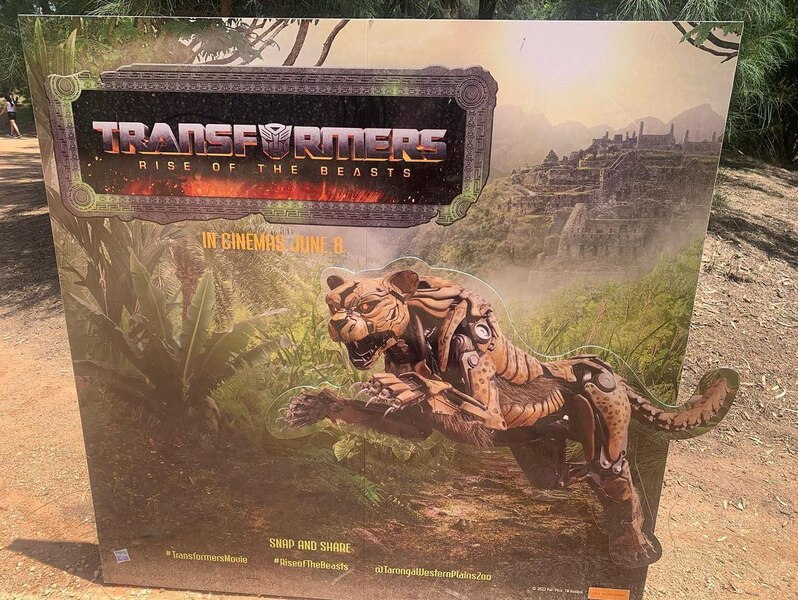 Image Of Transformers Rise Of The Beasts   Beast Awakening Taronga Zoo In Sydney, Australia 2   (13 of 21)